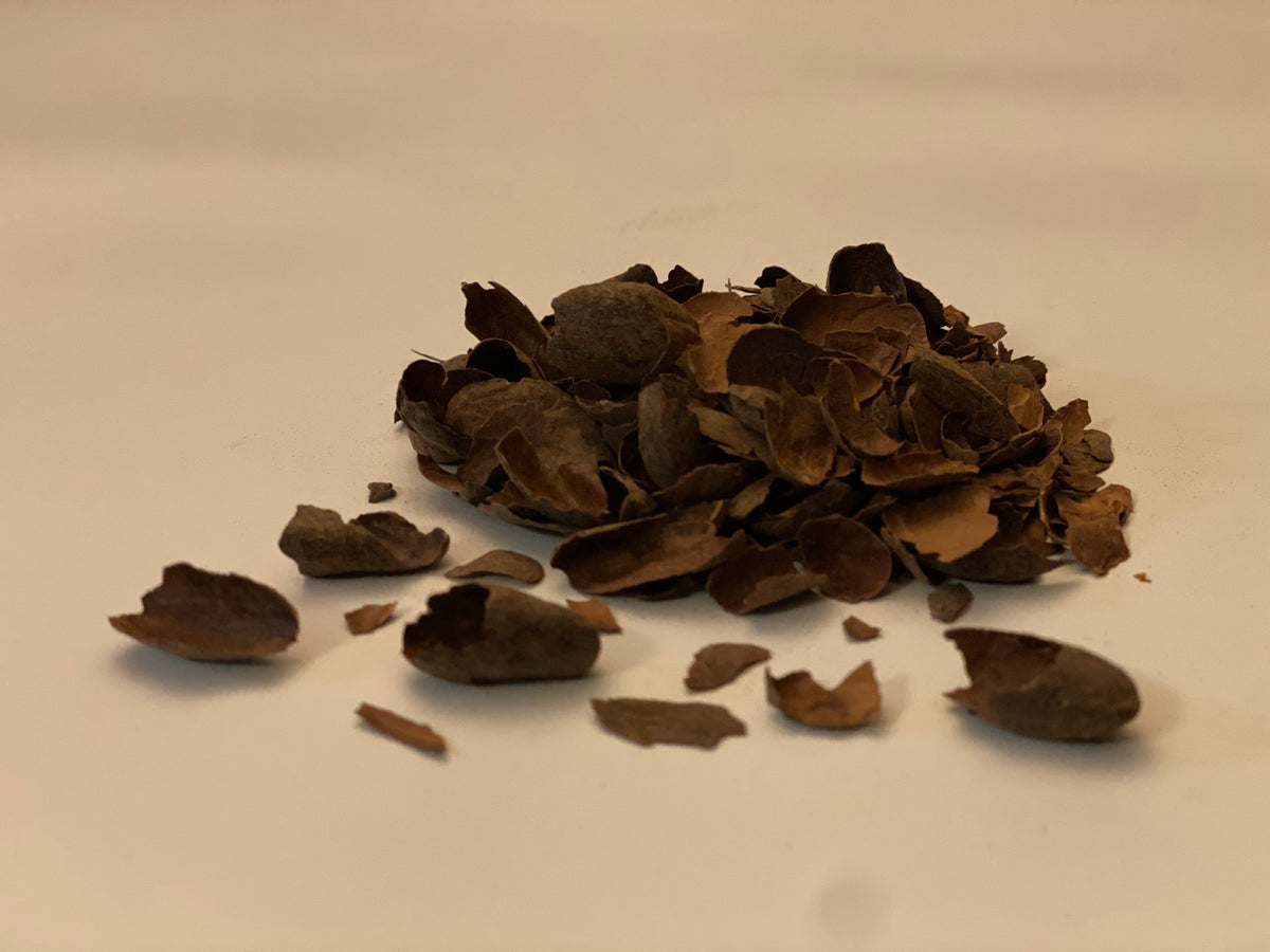 Chocolate Organic Cacao Husk Tea