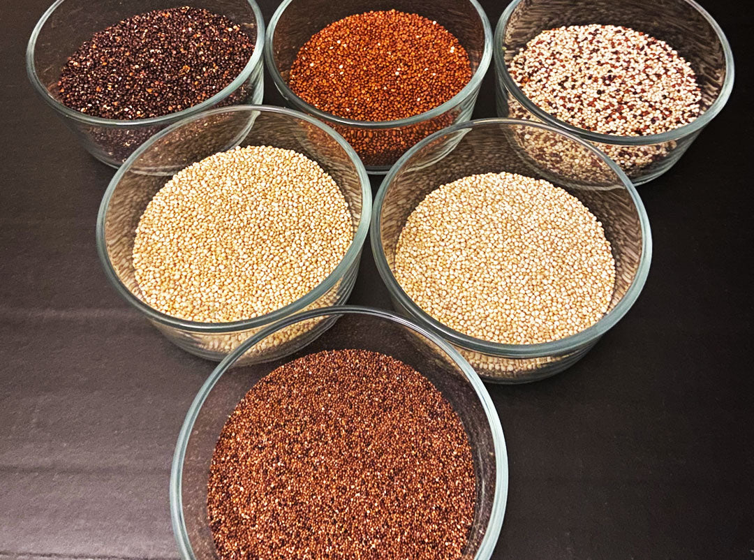 Specialty Organic Quinoa and Kaniwa Sampler